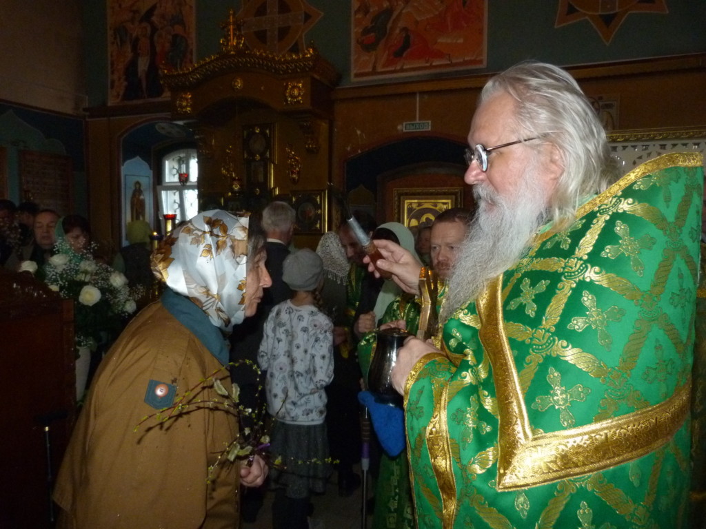 храм никиты софьино мученика