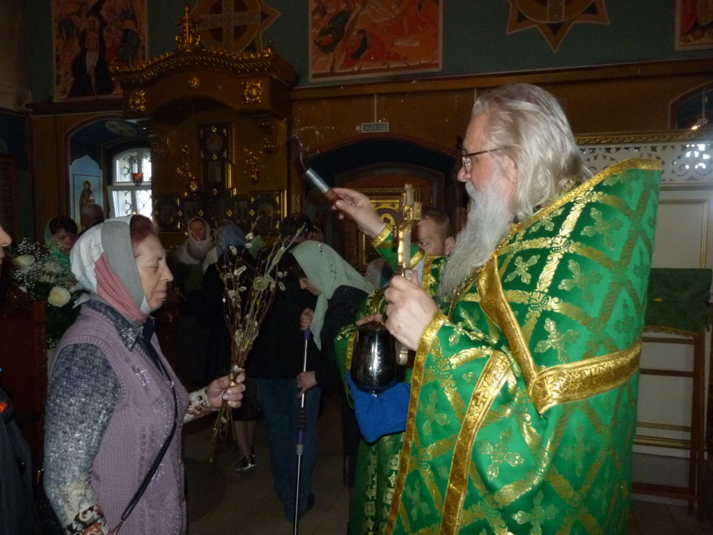 храм никиты софьино мученика