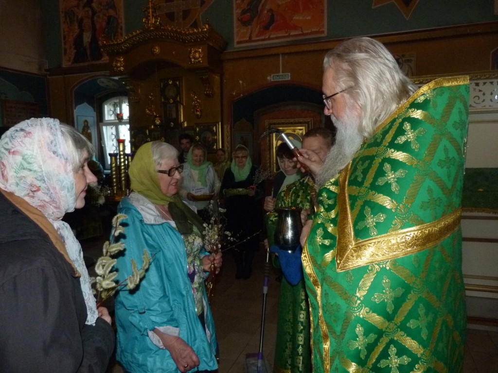 храм никиты софьино мученика